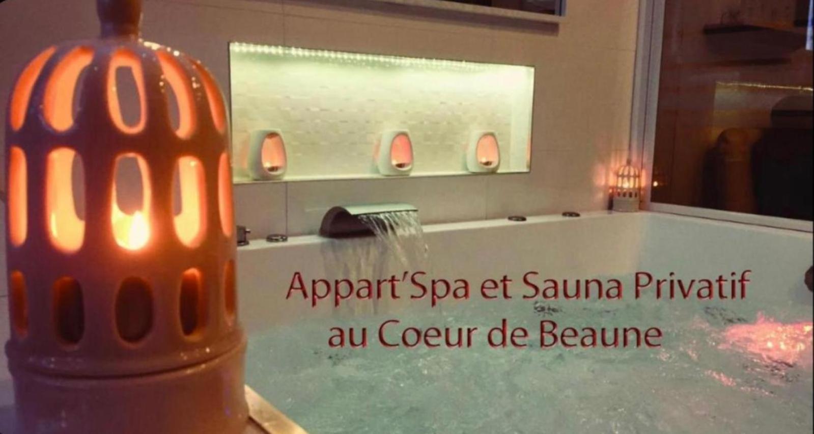 Appart' Spa Et Sauna Privatif Au Coeur De Beaune Exteriér fotografie