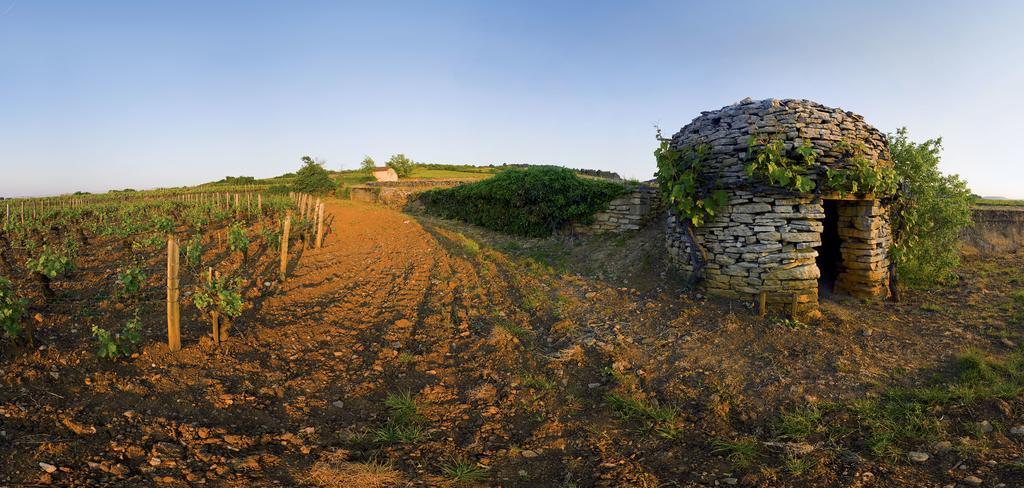 Appart' Spa Et Sauna Privatif Au Coeur De Beaune Exteriér fotografie